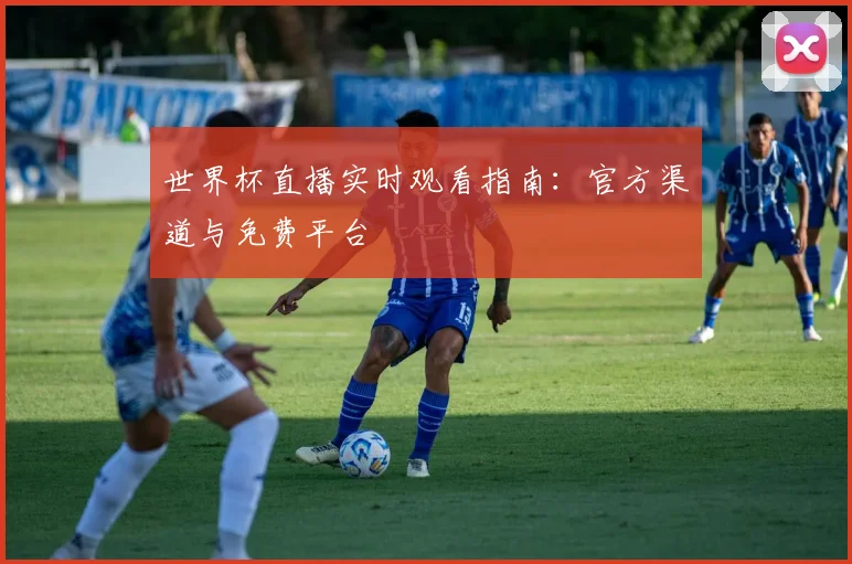 世界杯直播实时观看指南：官方渠道与免费平台
