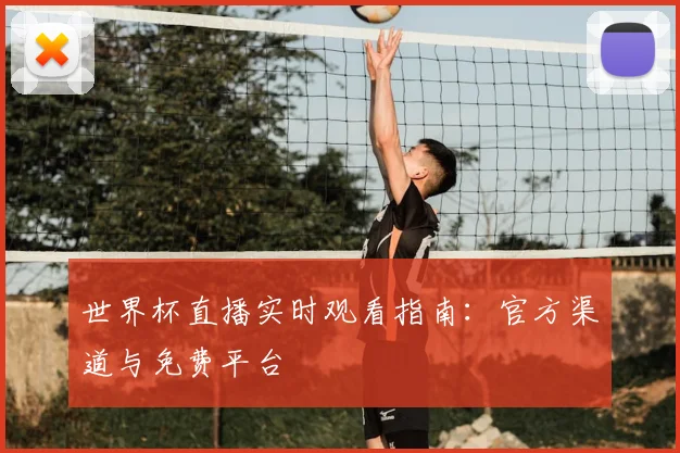 世界杯直播实时观看指南：官方渠道与免费平台