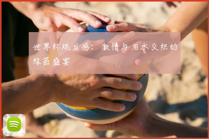 世界杯观后感：激情与泪水交织的绿茵盛宴